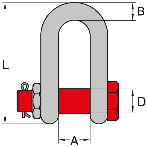 Bolt Type Dee Shackle Icon