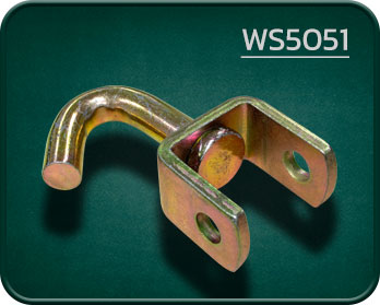 WS 5050