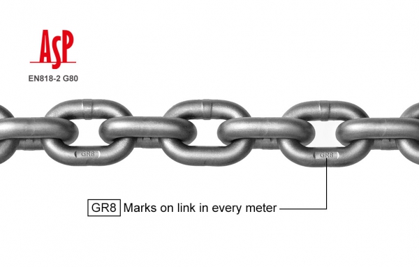 ASP-G8 EN818-2 G80 Alloy Chain